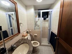 Simei Green Condominium (D18), Condominium #618990941